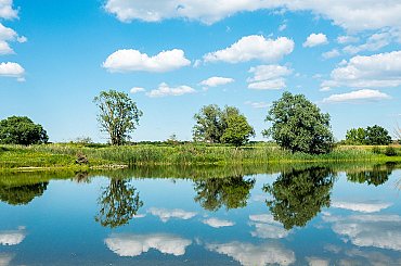 Povodí Labe by chtělo korytu Lužické Nisy v Liberci vrátit přírodní charakter