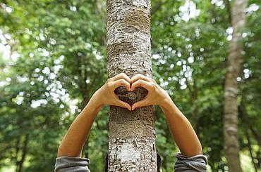 MŽP podpoří rozvoj energetických společenství. Cílem je vyšší soběstačnost a čistší energie pro obce i občany