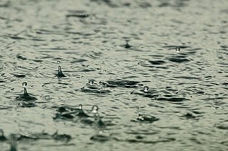 Deště z minulého týdne dosytily povrchovou vrstvu půdy, níže sucho zůstává