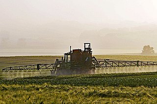 Zemědělci získají téměř 264 milionů korun z evropské rezervy. Pomoc zmírní dopady krize na Blízkém východě